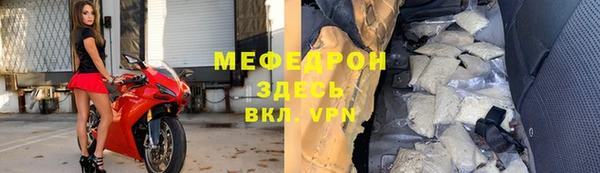 шишки Няндома