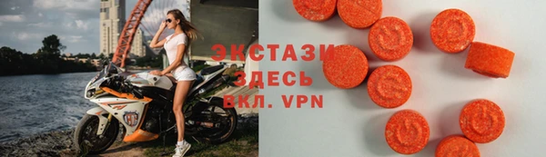 шишки Няндома