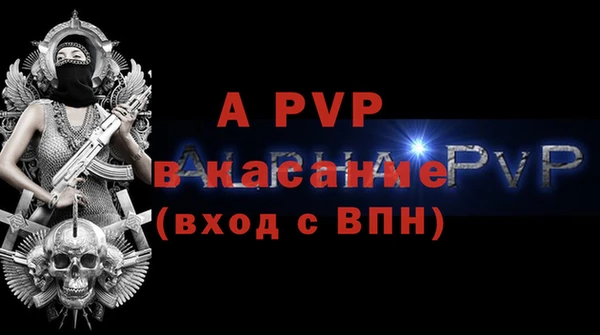 шишки Няндома