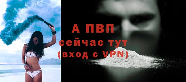 мяу мяу мука Осташков