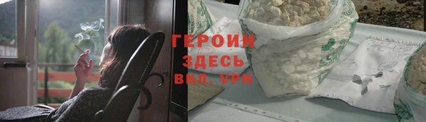 шишки Няндома
