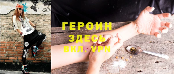шишки Няндома