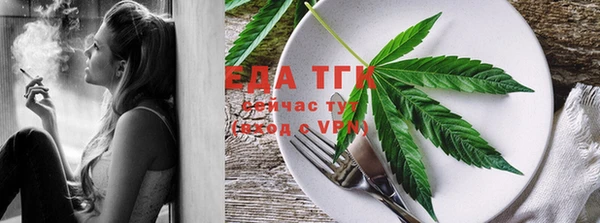 шишки Няндома