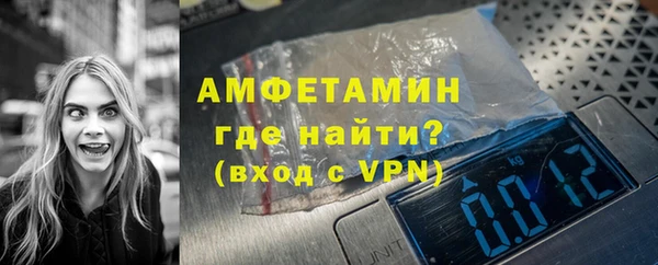 шишки Няндома