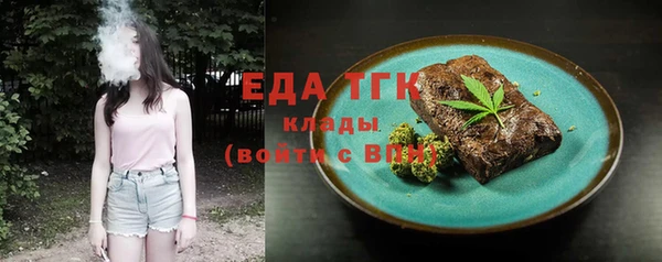 шишки Няндома