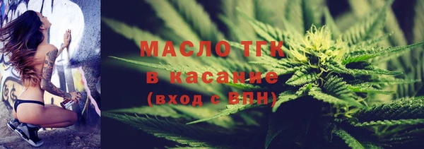 гидра Дегтярск