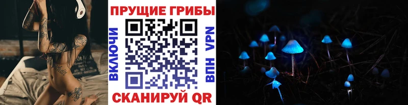 Галлюциногенные грибы Magic Shrooms  Камбарка 